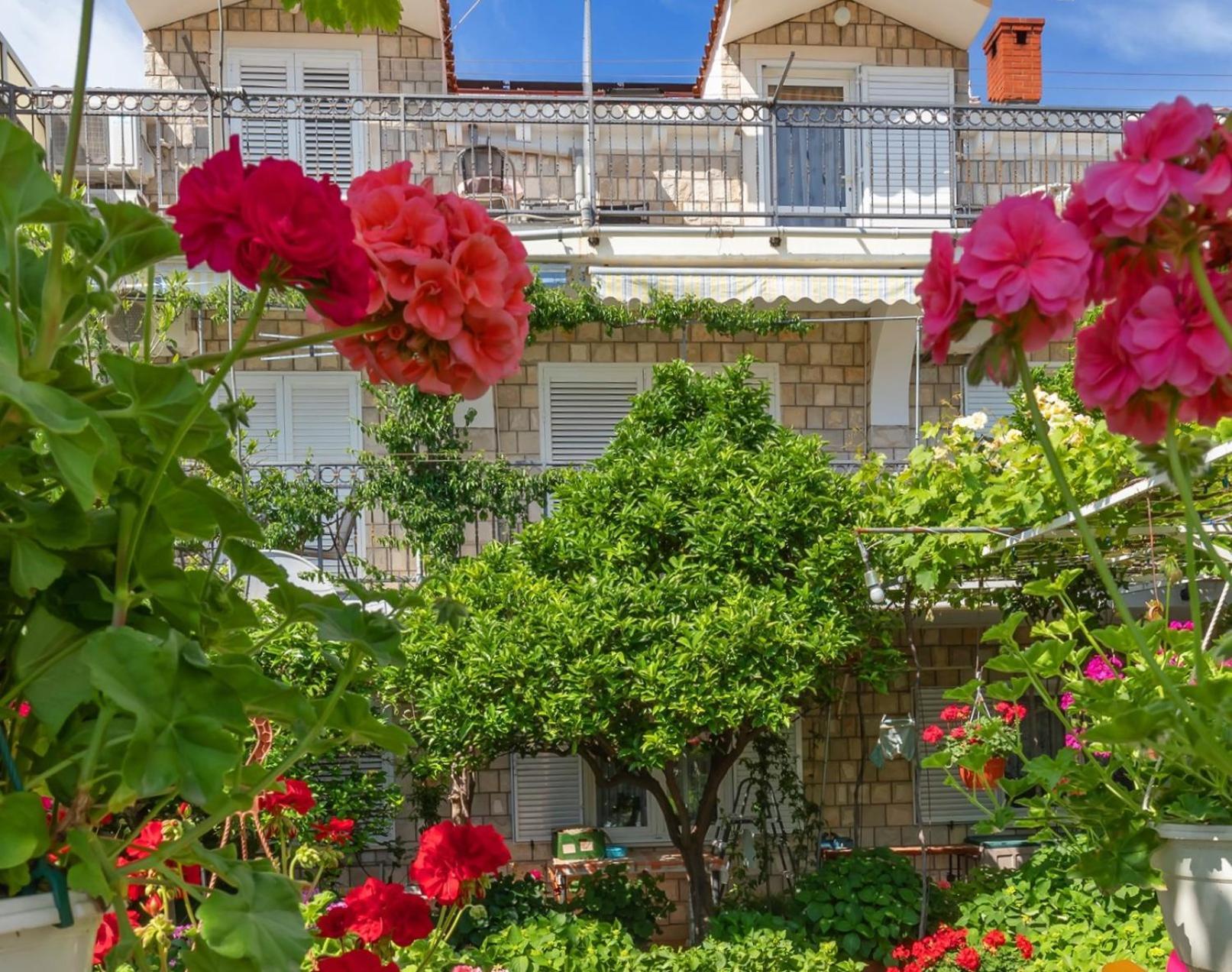 Apartmani Galic 2 믈리니 외부 사진